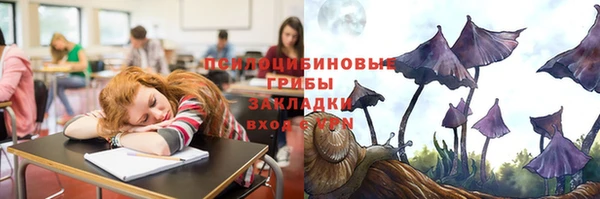 индика Богородск