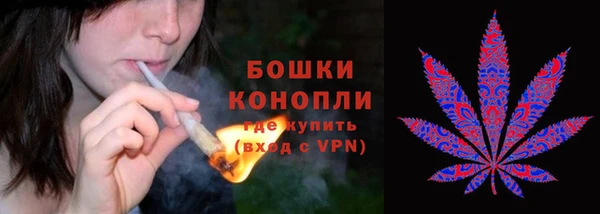 эйфоретик Инсар