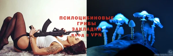 индика Богородск