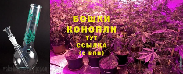 индика Богородск