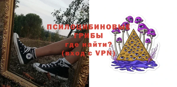 PSILOCYBIN Богданович