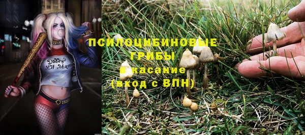 прущие крисы Беломорск