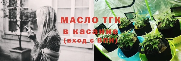 индика Богородск