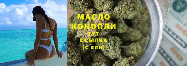 индика Богородск